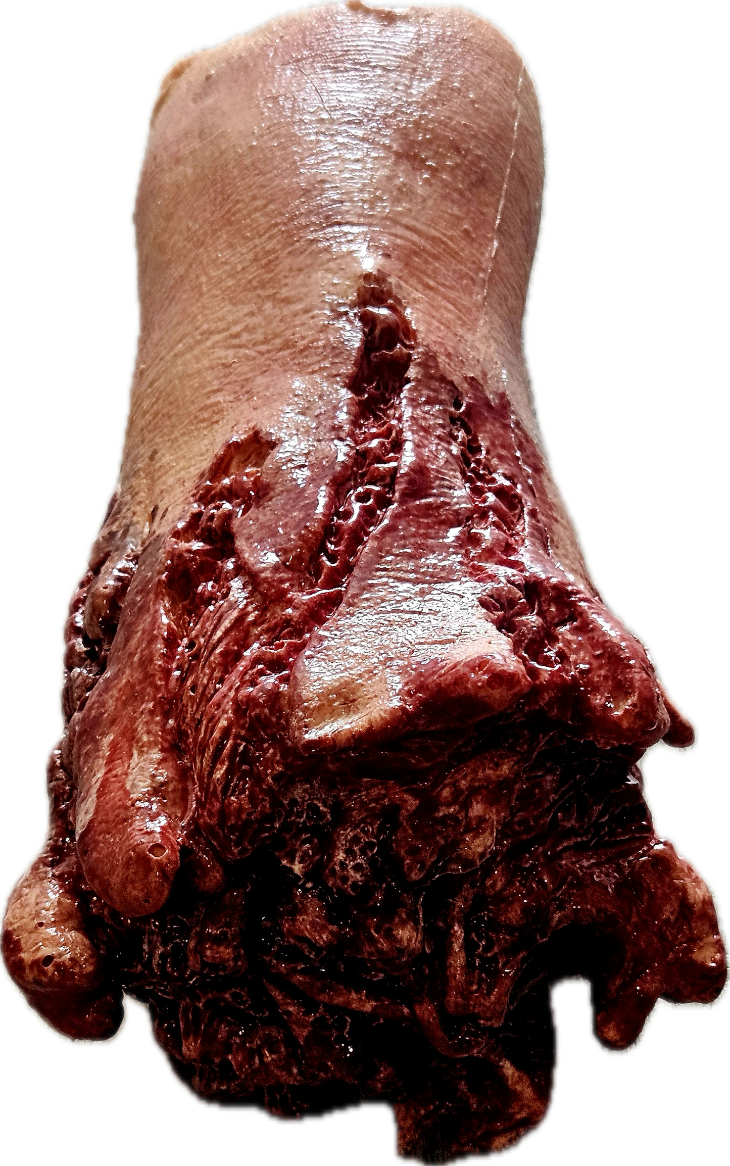 Amputated Hand Prosthetic #100