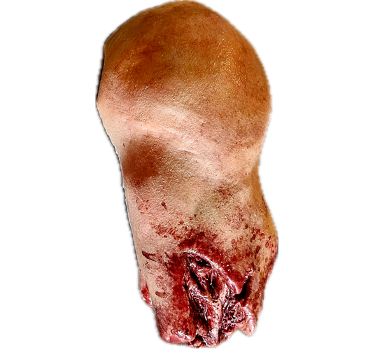 Amputated Upper Arm Prosthetic #101